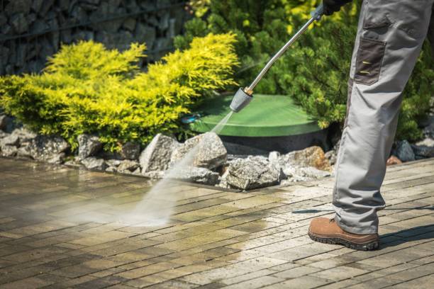 Best Pre-Holiday Cleaning  in Amityville, NY